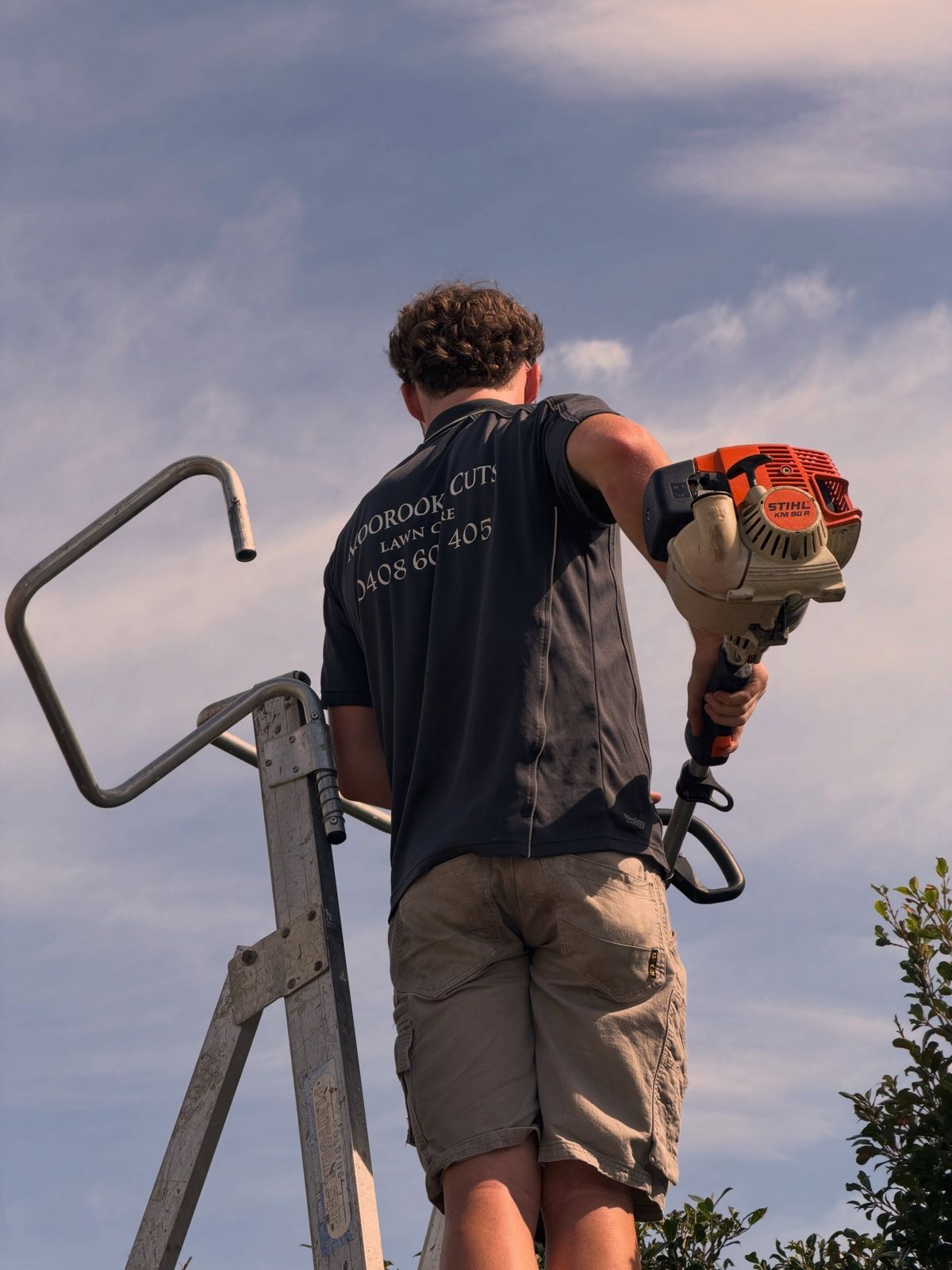 Cooper on a ladder trimming a tall hedge against an evening sky