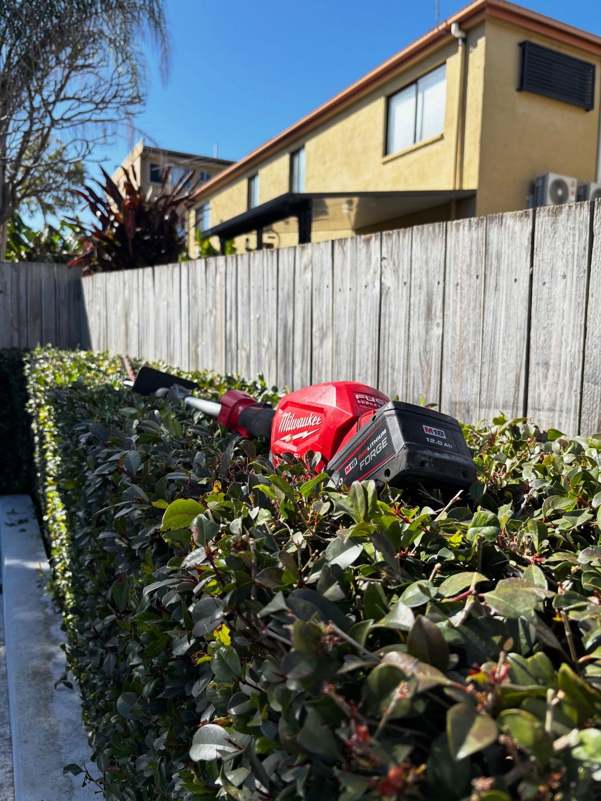 Cordless hedge trimmer resting on a freshly cut hedge along a timber fence
