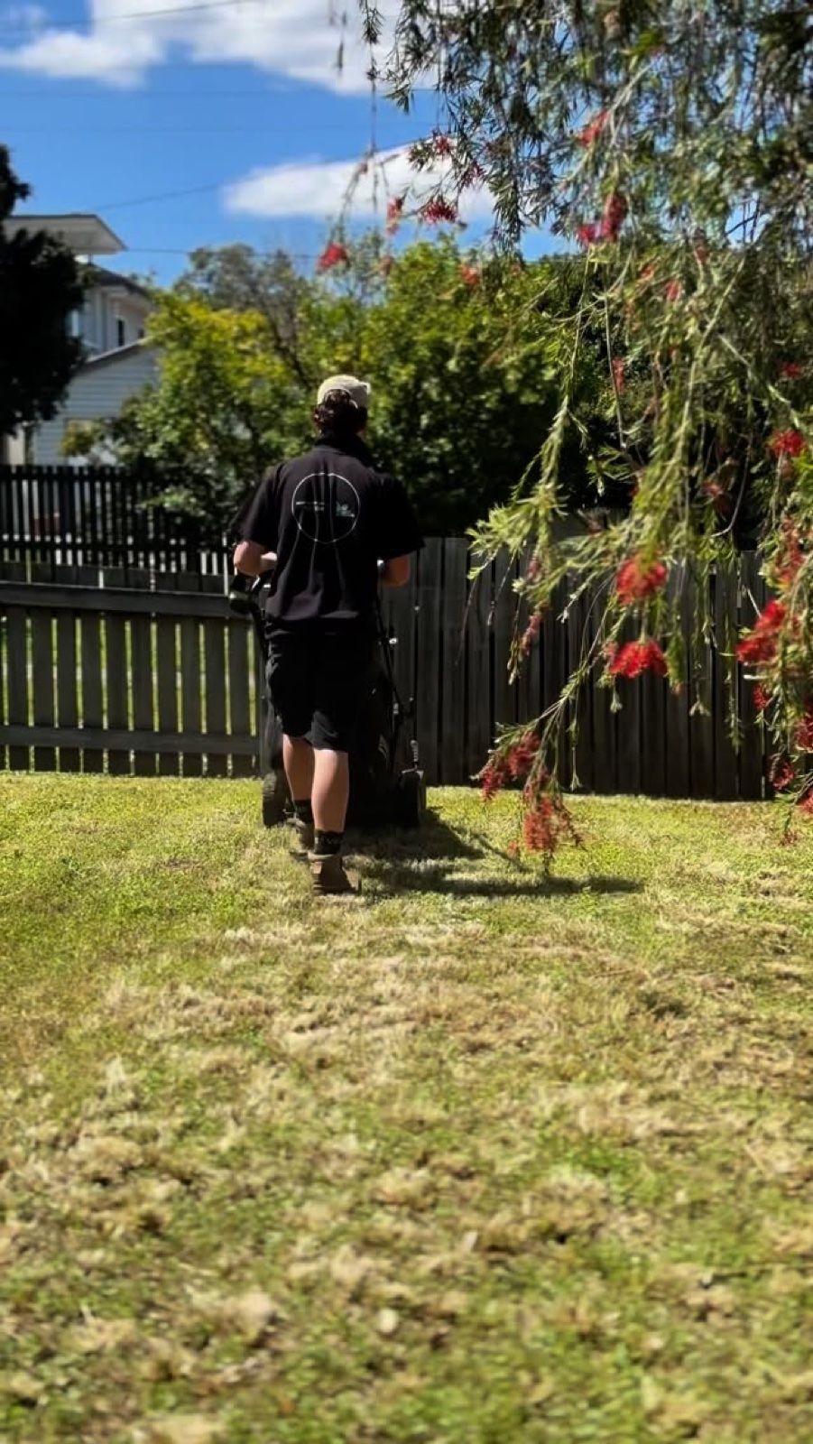 Cooper mowing a back yard lined with a bottlebrush tree