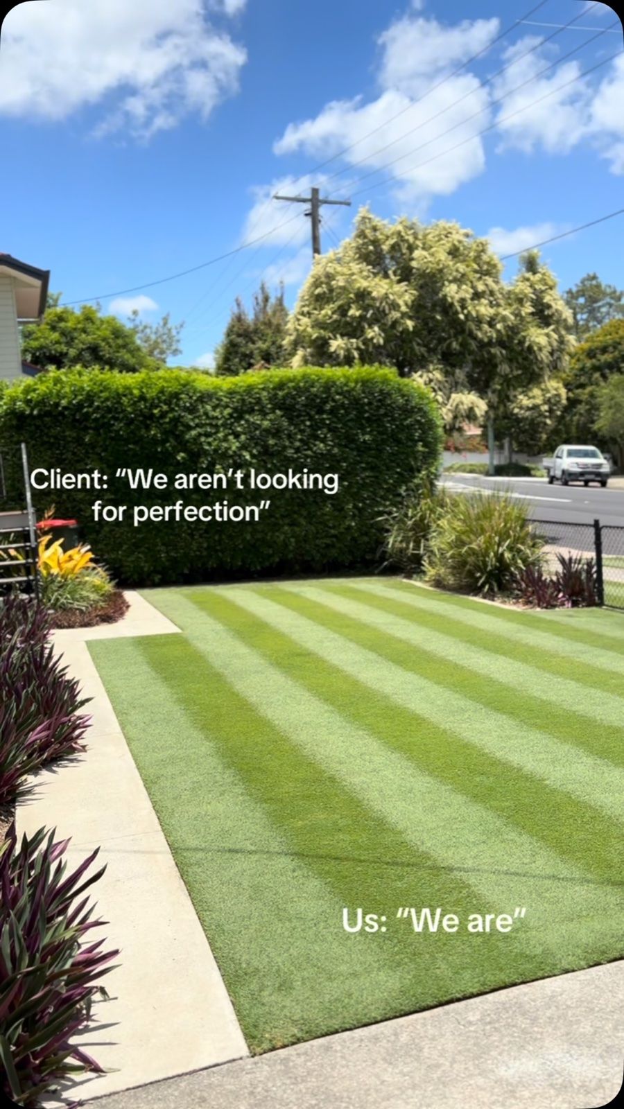 Striped front lawn beside a manicured hedge, with the caption “Client: we aren’t looking for perfection — Us: we are”